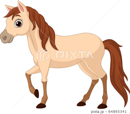 Cartoon brown horse isolated on white background Cartoon brown horse isolated on white background 64893341