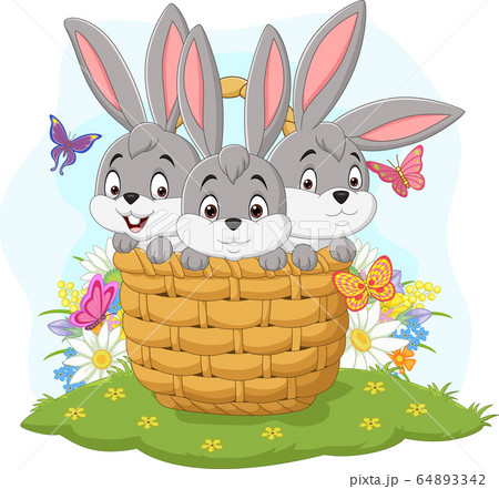 Three rabbits cartoon in the basket Three rabbits cartoon in the basket 64893342