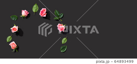 Pink roses with green leaves overhead view Pink roses with green leaves overhead view 64893499