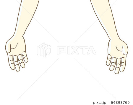 両手　素材 64893769