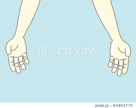 両手 64893770