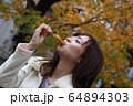 美人大阪人女性の食べ歩きモデル写真: みたらし団子編 64894303