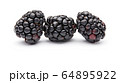 Blackberry Isolated on White Background 64895922