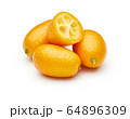 Kumquat Isolated on White Background 64896309