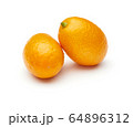 Kumquat Isolated on White Background 64896312