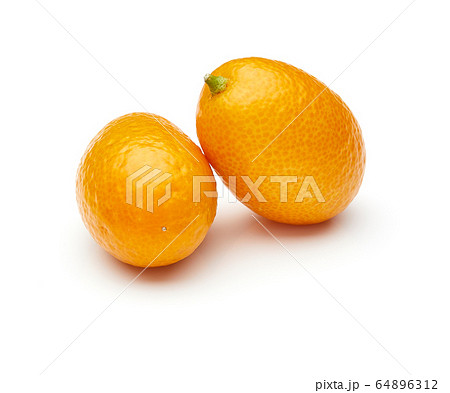 Kumquat Isolated on White Background 64896312