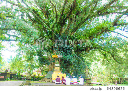 バリの祈り 64896626