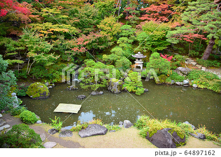 新潟市旧齋藤家別邸・日本庭園 64897162