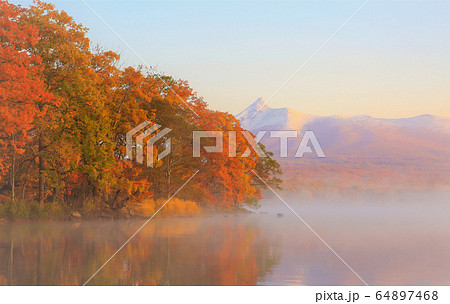 大沼の紅葉 64897468