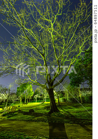夜の風景、宝塚中山桜台公園 夜の風景、宝塚中山桜台公園 64897511