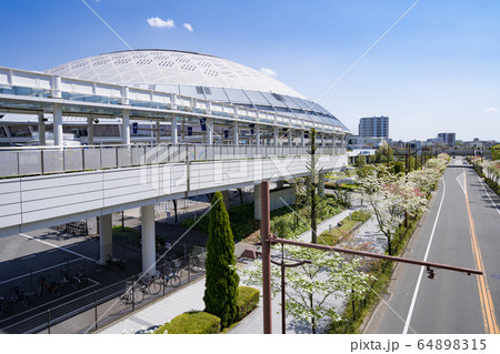 バンテリンドームナゴヤ  ナゴヤドームとハナミズキ 64898315