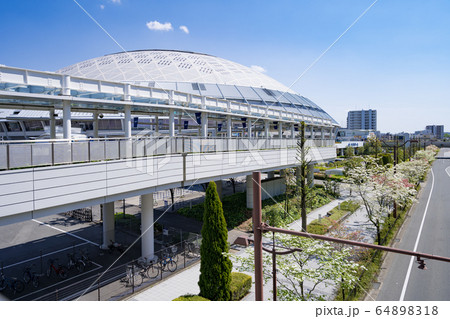 バンテリンドームナゴヤ  ナゴヤドームとハナミズキ 64898318