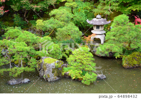 新潟市旧齋藤家別邸・日本庭園 新潟市旧齋藤家別邸・日本庭園 64898432