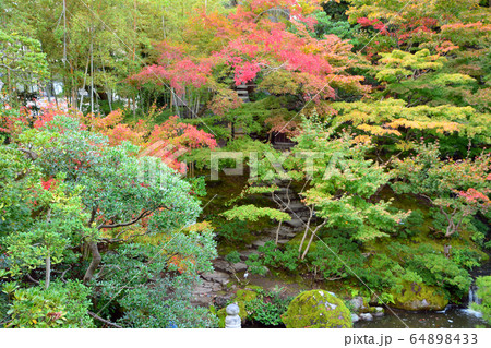新潟市旧齋藤家別邸・日本庭園 64898433