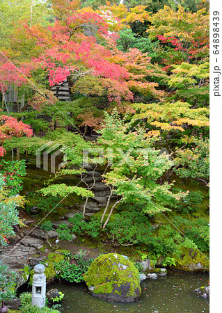 新潟市旧齋藤家別邸・日本庭園 新潟市旧齋藤家別邸・日本庭園 64898439