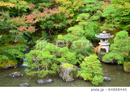 新潟市旧齋藤家別邸・日本庭園 64898440