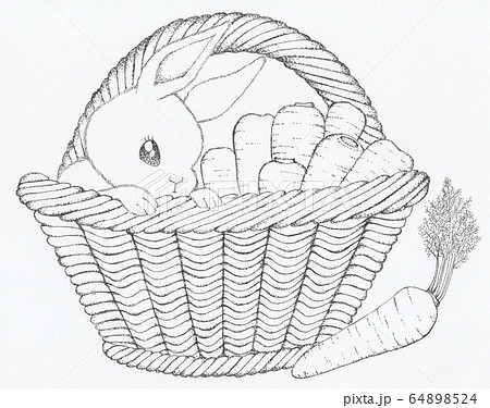 バスケットとウサギと人参のイラスト素材