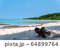 南の島の海岸と流木 64899764
