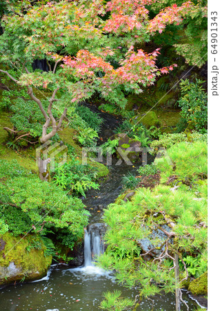 新潟市旧齋藤家別邸・日本庭園 新潟市旧齋藤家別邸・日本庭園 64901343