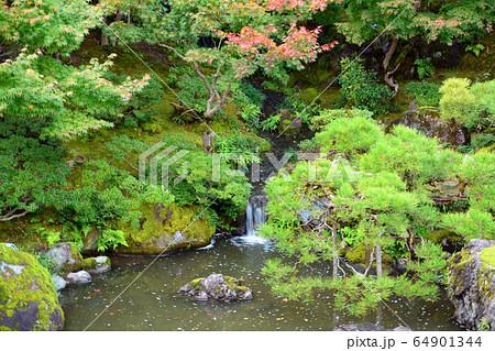 新潟市旧齋藤家別邸・日本庭園 64901344