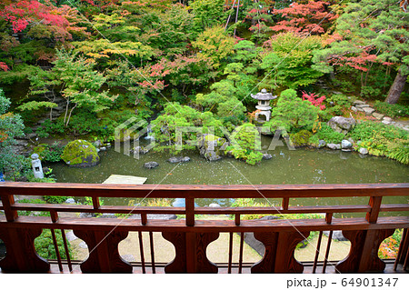 新潟市旧齋藤家別邸・日本庭園 64901347