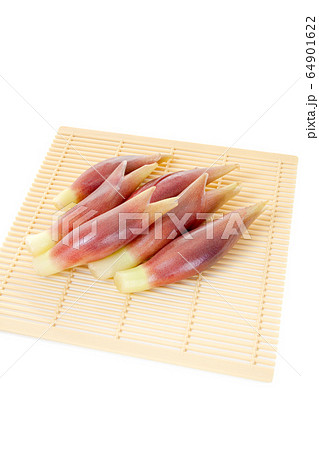 ミョウガ、みょうが、茗荷 64901622