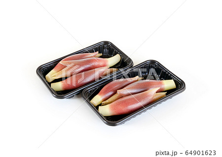 ミョウガ、みょうが、茗荷、パック入り 64901623