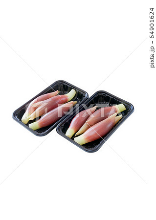 ミョウガ、みょうが、茗荷、パック入り 64901624