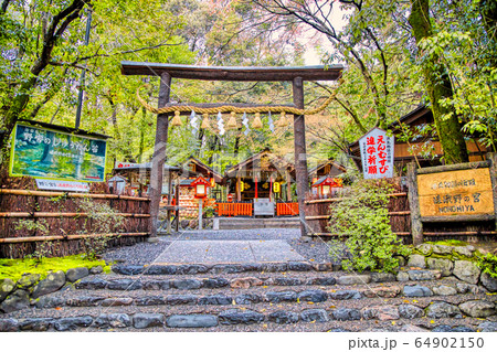 京都嵯峨野の野宮神社 京都嵯峨野の野宮神社 64902150