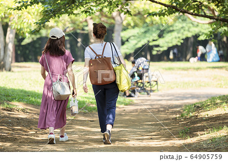 公園を散歩する女の子の二人組 公園を散歩する女の子の二人組 64905759