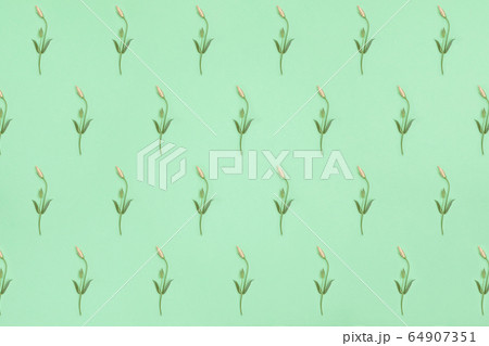 Diagonal pattern with pink eustoma flower buds on Diagonal pattern with pink eustoma flower buds on 64907351