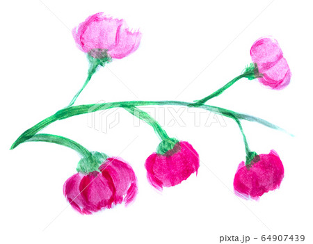 Drawing a flower with gouache. Drawing a flower with gouache. 64907439