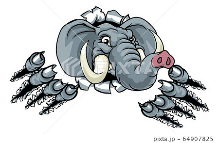 Elephant Sports Animal Mascot 64907825