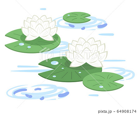 水面に咲く蓮の花のイラスト 白 のイラスト素材
