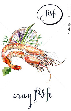 Cooked crayfishes with green vegetable 64909009