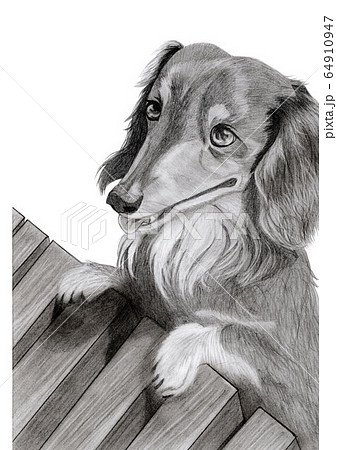 犬と縁側の鉛筆画のイラスト素材
