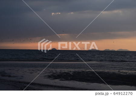夕暮れを進む鳥の群れ 64912270
