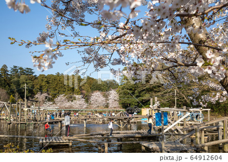 清水公園　春　フィールドアスレチック 64912604