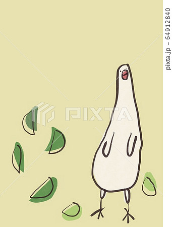 縦に伸びた文鳥と背景 64912840