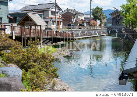 福井県大野市　イトヨ　水の里・越前おおの　5月上旬 64913071