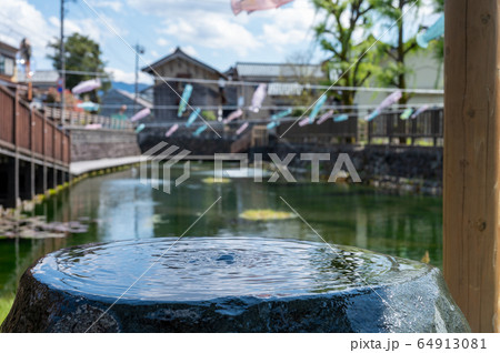 福井県大野市 イトヨ 水の里・越前おおの 5月上旬 福井県大野市 イトヨ 水の里・越前おおの 5月上旬 64913081