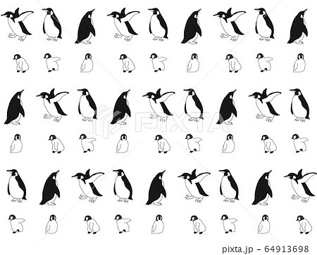 無料ダウンロード ペンギン イラスト 白黒 ただ素晴らしい花