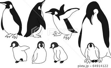 ペンギンの親子の素材イラスト モノクロ のイラスト素材