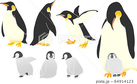 ペンギンの親子の素材イラストのイラスト素材