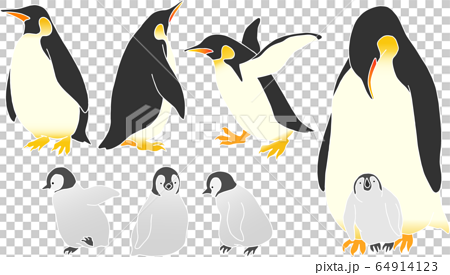 ペンギンの親子の素材イラストのイラスト素材