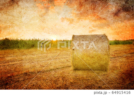 Hay bales Hay bales 64915416