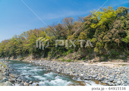 桂川（猿橋公園） 64915536
