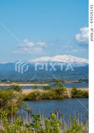 霊峰白山　加賀市　柴山潟　片山津温泉（2020年4月28日撮影） 64916143