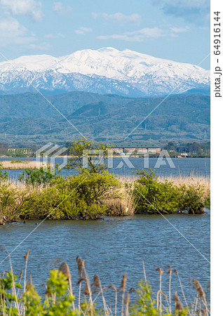 霊峰白山 加賀市 柴山潟 片山津温泉(2020年4月28日撮影) 霊峰白山 加賀市 柴山潟 片山津温泉(2020年4月28日撮影) 64916144