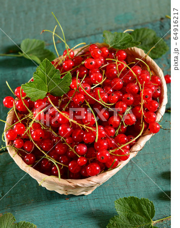 Red currants basket 64916217